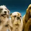 Налепница