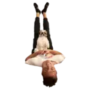 Límmiði