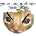 Stika