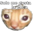Stika