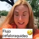 Stika