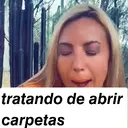 Stika