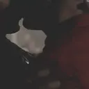 Կպչուն պիտակ