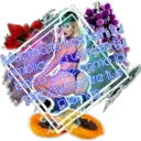 ស្ទីកเกอร์