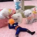 ស្ទីកเกอร์