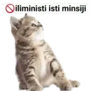 Límmiði