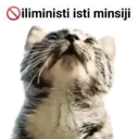 Límmiði