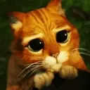 اسٹیکر