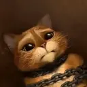 اسٹیکر