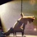 اسٹیکر