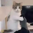 Կպչուն պիտակ