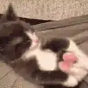 Կպչուն պիտակ