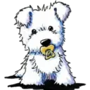 Կպչուն պիտակ