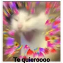 స్టికర్