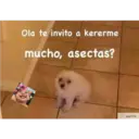 స్టికర్