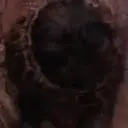 Կպչուն պիտակ