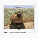 Sticker