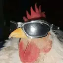 Çıkartma