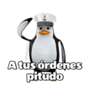 Adhesiu