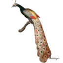 Figurinha