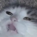 สติกเกอร์