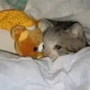 สติกเกอร์