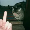 สติกเกอร์