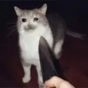 สติกเกอร์