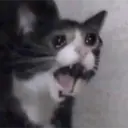 สติกเกอร์