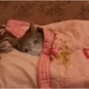 สติกเกอร์