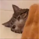 สติกเกอร์