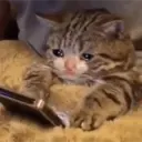 สติกเกอร์