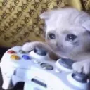 สติกเกอร์