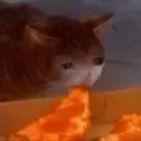 สติกเกอร์