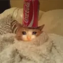 สติกเกอร์