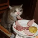 สติกเกอร์