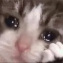 สติกเกอร์