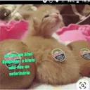 สติกเกอร์