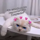 Límmiði