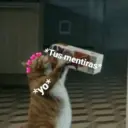 Límmiði