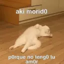 Límmiði