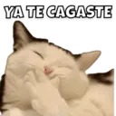 Límmiði