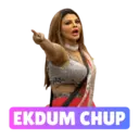 स्टिकर