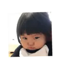 贴纸