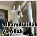 ملصق