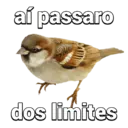 Figurinha