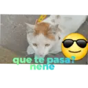 ਸਟਿਕਰ