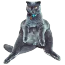 ਸਟਿਕਰ