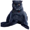 ਸਟਿਕਰ