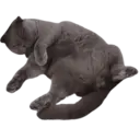 ਸਟਿਕਰ